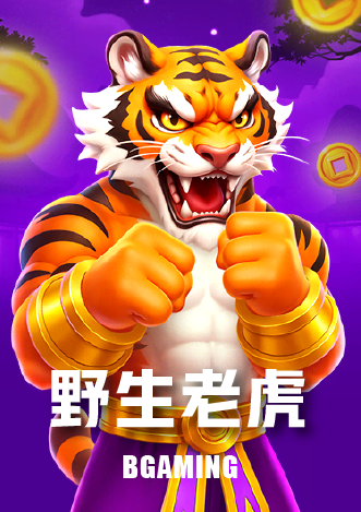 野生老虎 遊戲封面